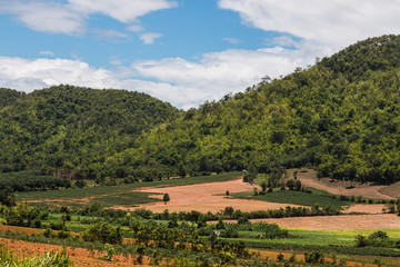 Fototapeta na wymiar landscape at countryside