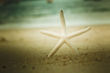 Fototapeta na wymiar Star fish on beach sand, vintage color