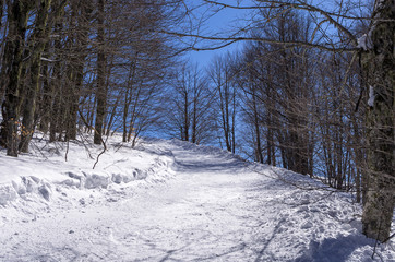 Mountain scenery in Vigla, Florina's ski center, Greece