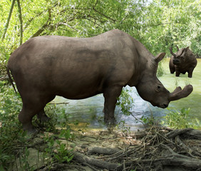 Fototapeta premium Brontotherium Drinking In River