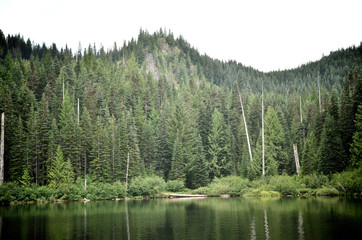 Fototapeta premium Burnt Lake on a Cloudy Day