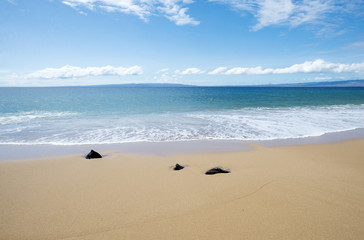 Polifua Beach, Lanai, Hawaii -1