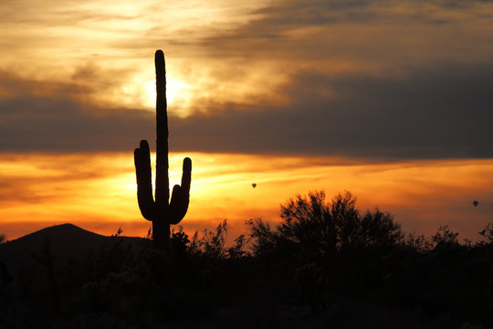 Desert Southwest Landscape and Nature