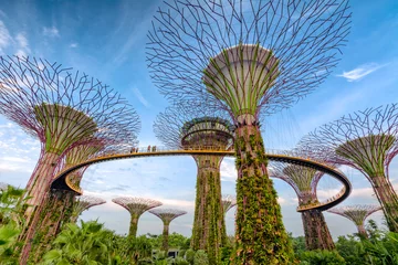 Crédence de cuisine en verre imprimé Singapour Gardens by the Bay - Singapour