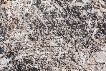 Stone texture