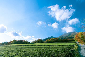 軽井沢から見た浅間山の紅葉