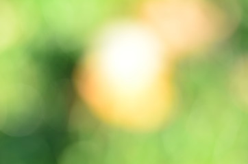 Obraz premium Abstract colorful gradient smooth blurred backgrounds for design