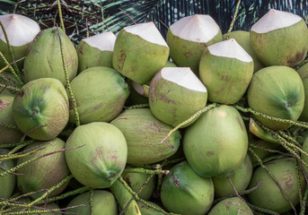 bunch of fresh coconuts