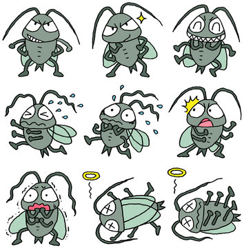 ゴキブリ　セット