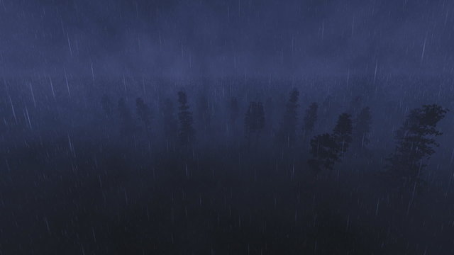 Falling rain in Night forest, tracking shot from above