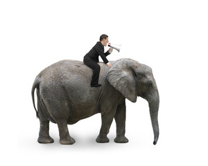 Businessman with using speaker riding on walking elephant
