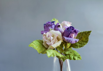 White and purple roses with space on grey background