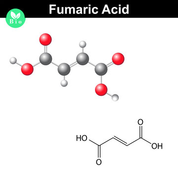 Fumaric acid molecule