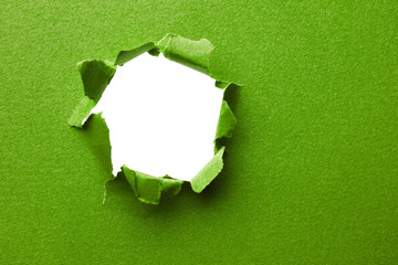 Green torn paper