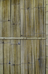 Bamboo wall