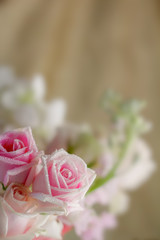 Bouquet of pink roses and ivory carnation