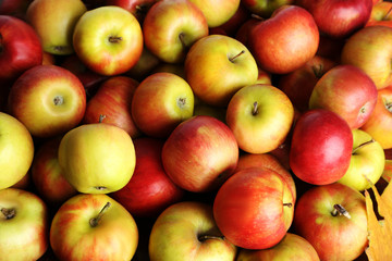 Fresh and ripe apples background, close up