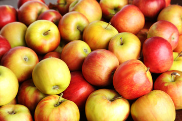 Fototapeta na wymiar Fresh and ripe apples background, close up