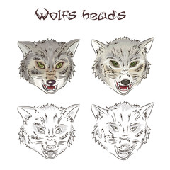 Vector illustration of hand drawn wolves heads. Two of them are painted, two other are scribbled. This illustration is isolated on a white background.