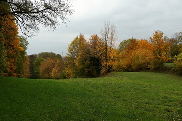 Herbstlandschaft und bunte Bäume