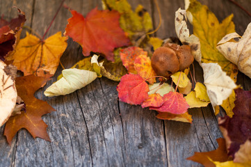 Autumn leaves on a wooden background