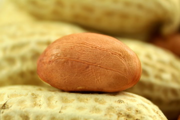 peanuts whole and peeled closeup