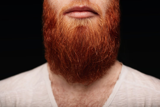 gallon lette nyheder Closeup of long red beard and mustache man. Stock Photo | Adobe Stock