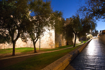 Israel, Jerusalem, the Herod's gate ascent