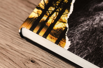 book on the wooden surface