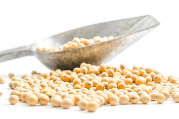 soybeans in metal scoop on white background..
