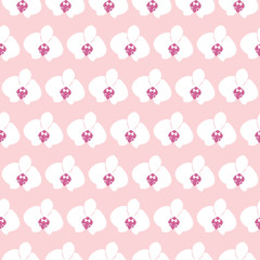 orchid