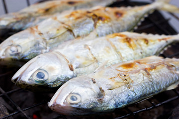 Grilled mackerel on stove.