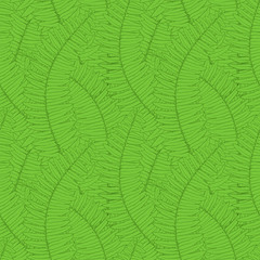 seamless background with fern leaves