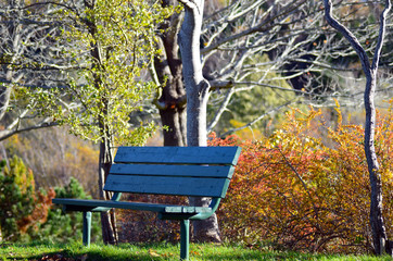bench in park, autumn