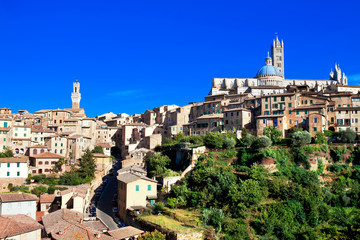 Obraz premium View of medieval old town of Siena, Italy