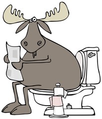 Moose sitting on a toilet