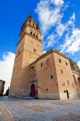Fototapeta na wymiar tower of Cathedral in Salamanca. Castile and Leon, Spain
