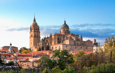 Fototapeta na wymiar Salamanca Cathedral. Castile and Leon, Spain