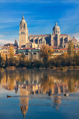 Salamanca Cathedral. Castile and Leon, Spain