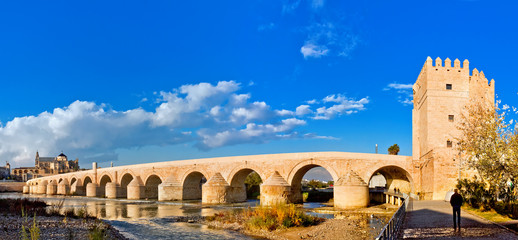 Roman Bridge and Guadalquivir river, Great Mosque, Cordoba, Spai