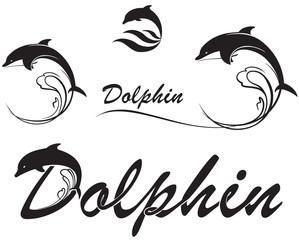 Obraz premium dolphins