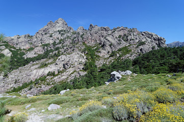 Col de Bavella