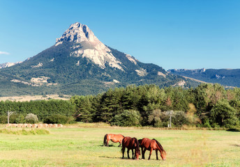 Sierra De Andía, Navarre, Spain