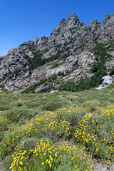 Col de Bavella