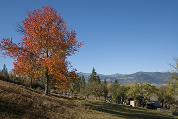 Autumn landscape in Carpathian Mountains, Ukraine.