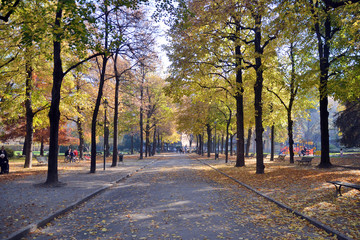 autunno nel parco