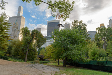 Fototapeta premium New York