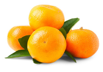 Four fresh mandarin oranges