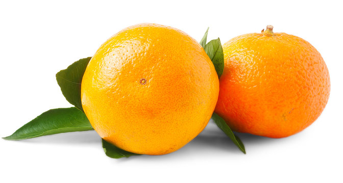 pair of fresh mandarin oranges