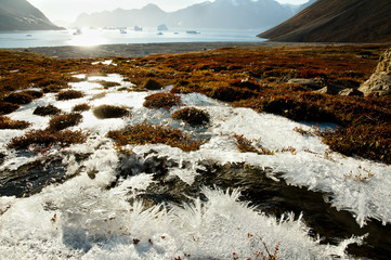 Ice Crystals - Scoresby Sound - Greenland © Adwo